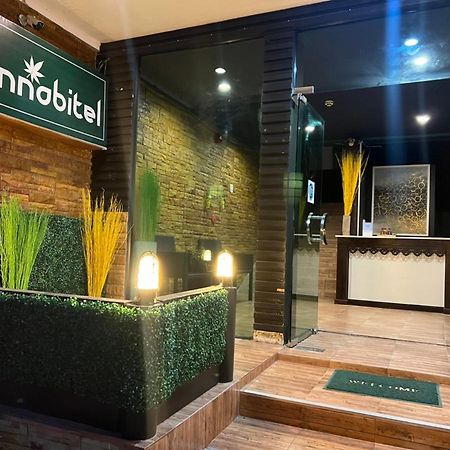 Cannabitel Хаад Рин Екстериор снимка