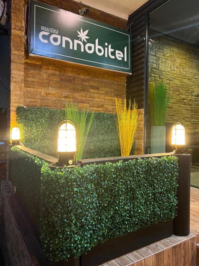 Cannabitel Хаад Рин Екстериор снимка